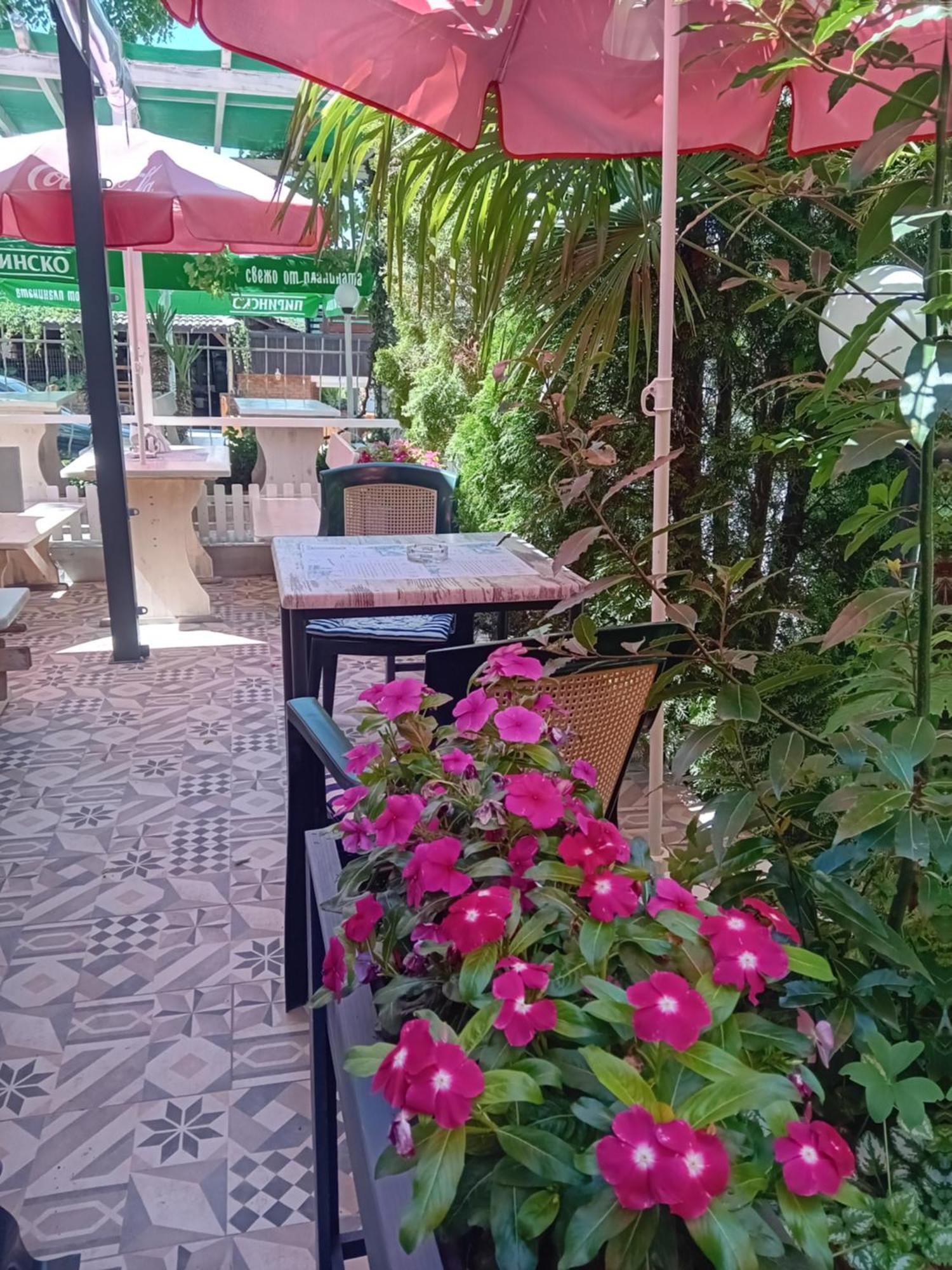 Guesthouse Oasis Naousa Dış mekan fotoğraf