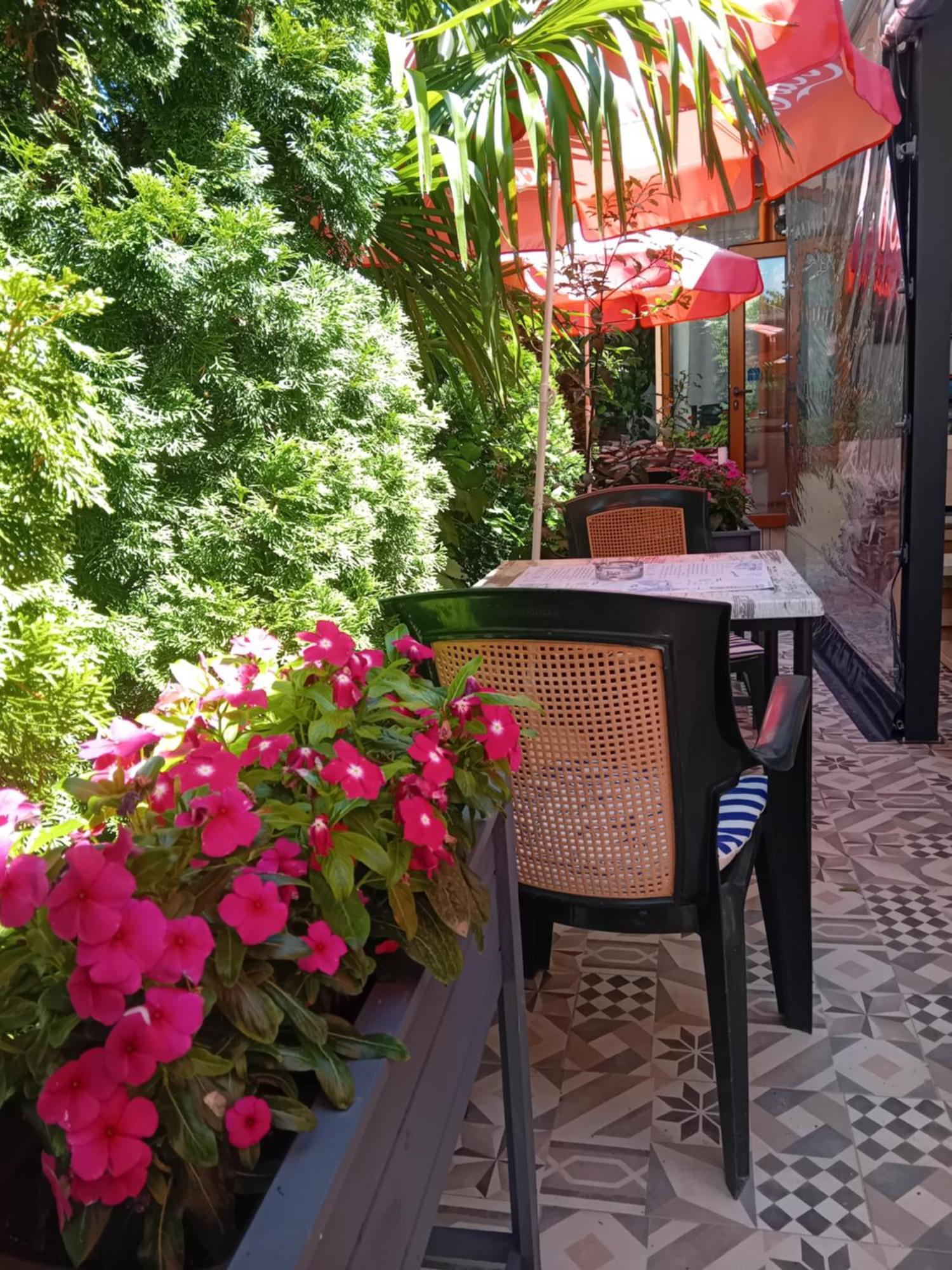 Guesthouse Oasis Naousa Dış mekan fotoğraf